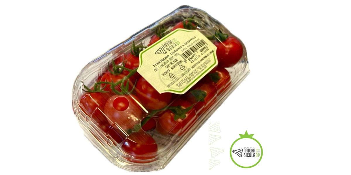 Op Natura Sicula vince la sfida dell’orticoltura estiva made in Sicily